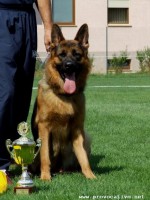 /album/fotogaleria/vd1-haribal-qstionn-jpg/